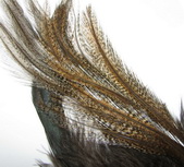 schlappen + saddle coq de leon
